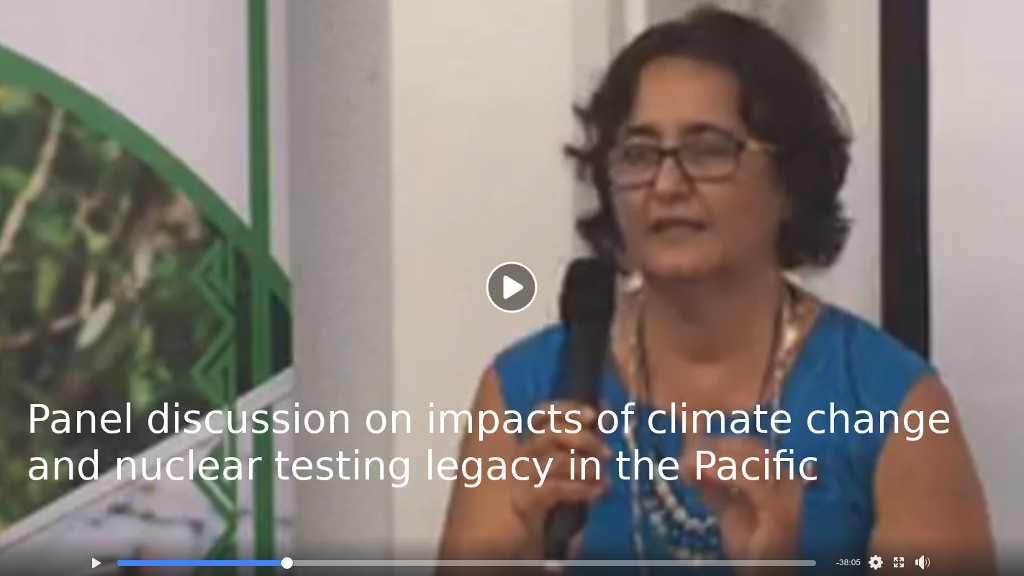 Panel discussion on impacts of climate change and nuclear testing legacy in the Pacific