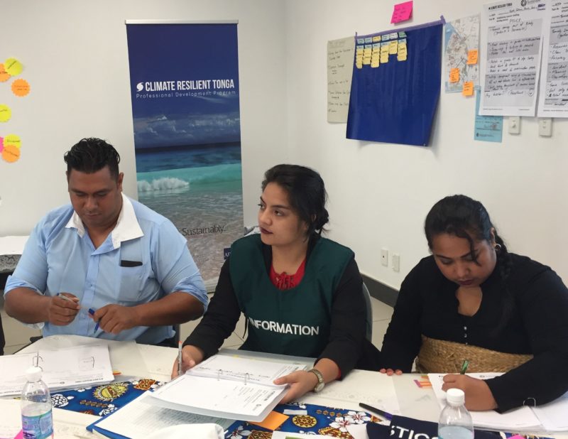 Resilience Profiling Workshop in Tonga