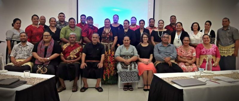 Planners and budget staff from the Tongan Government attend the MFNP Risk Screening Workshop in Nuku’alofa (Photo: UNDP Tonga)